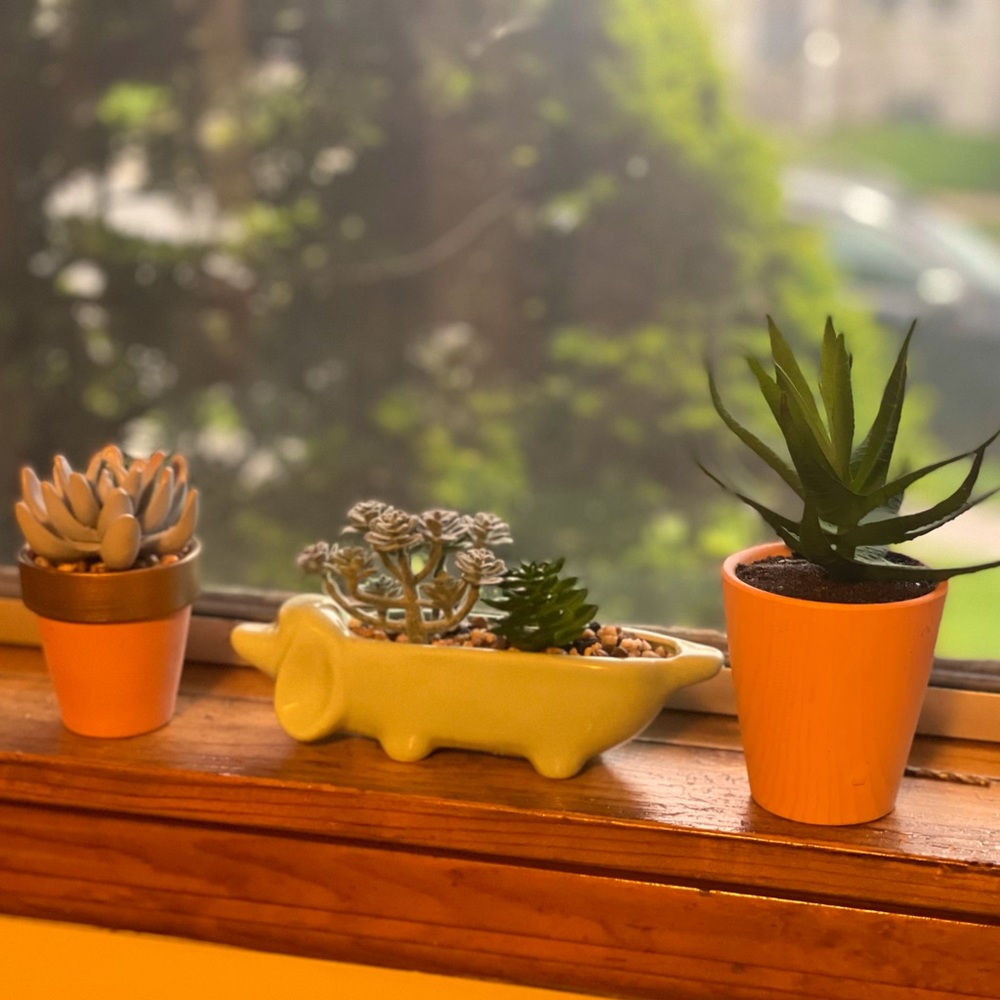 Faux Succulent Set